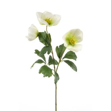 Rosa de Navidad artificial MERUEL, blanco-verde, 45cm