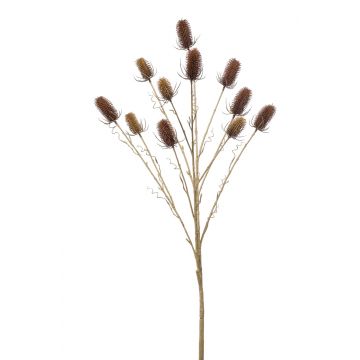 Cardo decorativo TUDANCA, marrón, 150cm