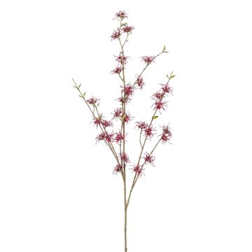 Rama falsa de hamamelis DOLEA con flores, rojo burdeos, 120 cm