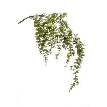 Rama decorativa de eucalipto PINORO, verde, 120cm
