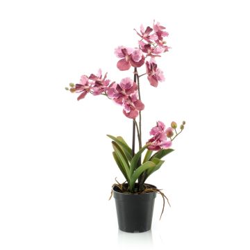 Orquídea vanda artificial CAMPO, rosa-fucsia, 60cm