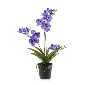 Orquídea vanda artificial CAMPO, violeta, 60cm