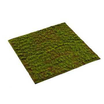 Estera de musgo bryophyta artificial FERMIN, verde, 100x100cm