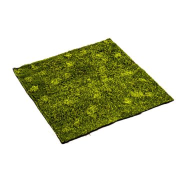 Estera de musgo hypnum artificial FERMIN, verde, 100x100cm