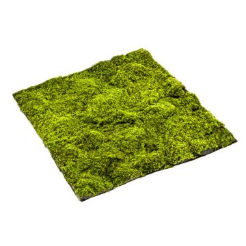 Estera de musgo sphagnum artificial FERMIN, verde, 100x100cm