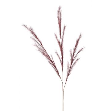 Rama falsa de hierba de stipa con panículas YECORA, rojo burdeos, 130cm
