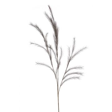 Rama falsa de hierba de stipa con panículas YECORA, gris, 130cm