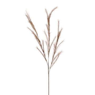 Rama falsa de hierba de stipa con panículas YECORA, marrón, 130cm