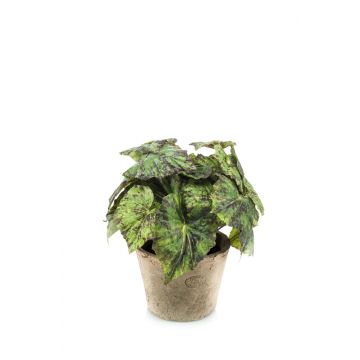 Begonia rex artificial MEIRA en maceta de terracota, frondoso, verde-negro, 25cm