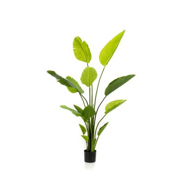 Strelitzia artificial BEDAR, verde, 150cm