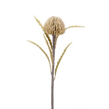 Banksia artificial VICARA, beige, 60cm