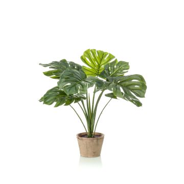 Filodendro artificial Monstera Deliciosa BRITI, maceta de terracota, 60cm