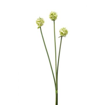Atado de flores de allium artificial LAMDA, verde crema, 65cm