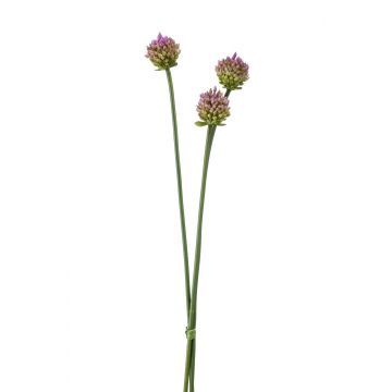 Atado de flores de allium artificial LAMDA, verde-violeta, 65cm