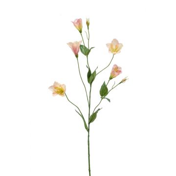 Lisianthus de imitación PAZAN, rosa-crema, 70cm