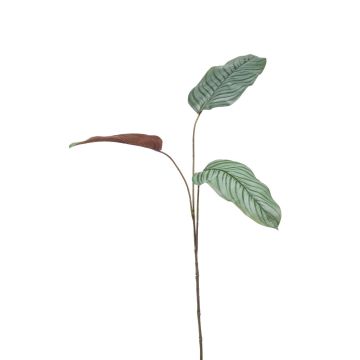 Rama artificial de Calathea Orbifolia SEGINUS, verde-blanco, 110cm