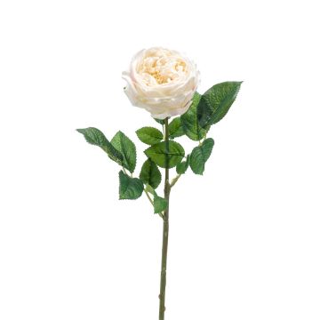 Rosa centifolia sintética CATINCA, crema, 60cm