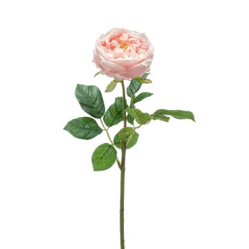 Rosa centifolia sintética CATINCA, rosa pálido, 60cm