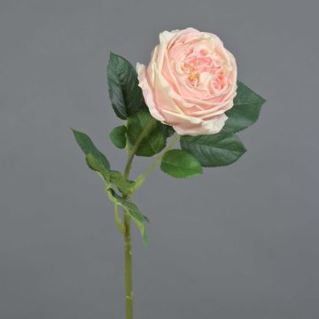 Rosa centifolia sintética CATINCA, rosa pálido, 60cm