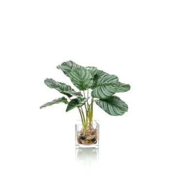 Calathea Orbifolia artificial AGINA en maceta de cristal, verde-blanco, 40cm