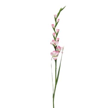 Gladiolo artificial AJNUR, rosa-blanco, 125cm