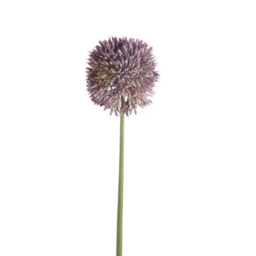 Allium artificial NATASHA, morado, 65cm, Ø10cm
