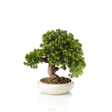 Bonsái artificial Alerce MIRSANDA en maceta para bonsáis, 35 cm