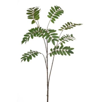 Rama decorativa de mahonia MANIESA, verde, 150 cm Rama decorativa de mahonia MANIESA, verde, 150 cm