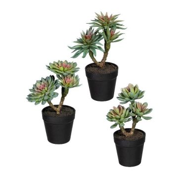 Arreglo floral artificial de suculentas DRULKE en maceta decorativa, 3 unidades, verde-rosa, 21-23 cm Arreglo floral artificial de suculentas DRULKE en maceta decorativa, 3 unidades, verde-rosa, 21-23 cm