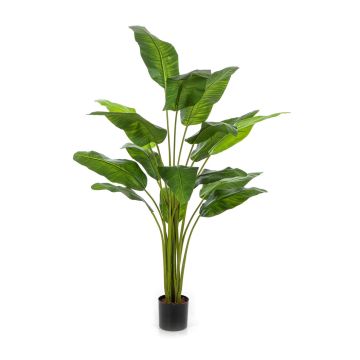 Árbol del viajero artificial COSINO, 170 cm