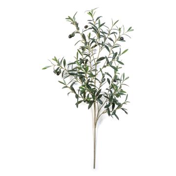Rama de olivo artificial LORRIS, frutos, difícilmente inflamable, verde, 110 cm