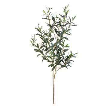 Rama de olivo artificial LORRIS, verde, 110 cm