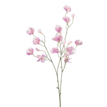 Rama decorativa Lathyrus latifolius GERJA, lila claro, 90 cm