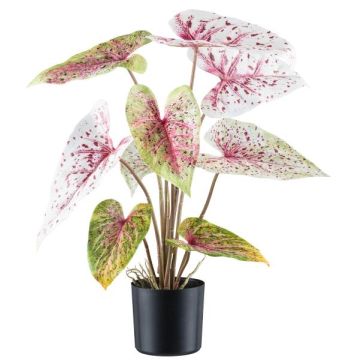 Planta artificial Caladium STAHER, raíces, rojo-blanco-verde claro, 55 cm
