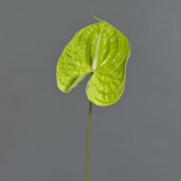 Anturio artificial MAXLER, verde claro, 70 cm
