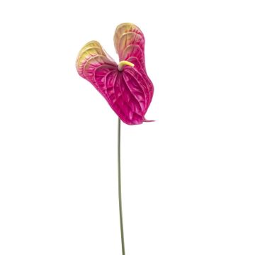 Anturio artificial MAXLER, rosa-amarillo, 70 cm