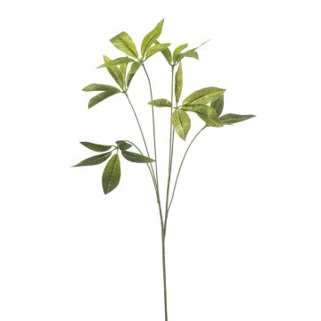 Rama decorativa de pachira NEXOLI, verde, 80 cm