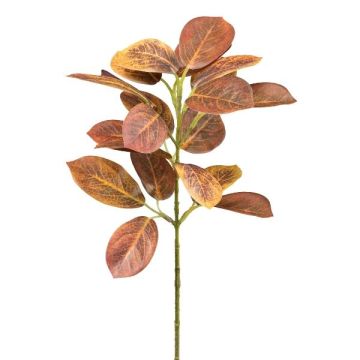 Rama decorativa SULKON, marrón rojizo, 40 cm