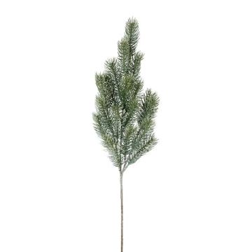 Rama decorativa de abeto azul SLOVAN, congelada, blanco-verde, 60 cm Rama decorativa de abeto azul SLOVAN, congelada, blanco-verde, 60 cm