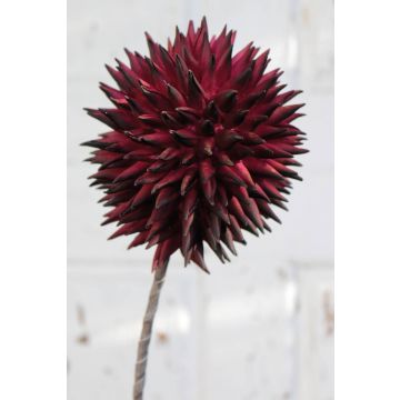Allium artificial MERAL, burdeos, 80cm, Ø14cm