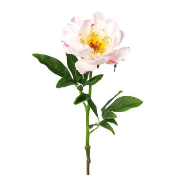 Flor artificial de peonía PEFIN, rosa, 50 cm
