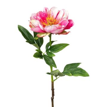 Flor artificial peonía PEFIN, rosa, 50 cm