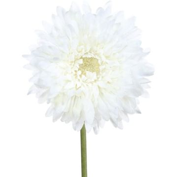 Flor artificial Gerbera MOLZA, blanca, 60 cm