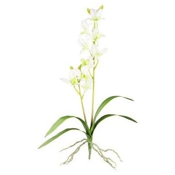 Orquídea dendrobium artificial Sonia NELTI, varilla, raíces, verde claro, 60 cm