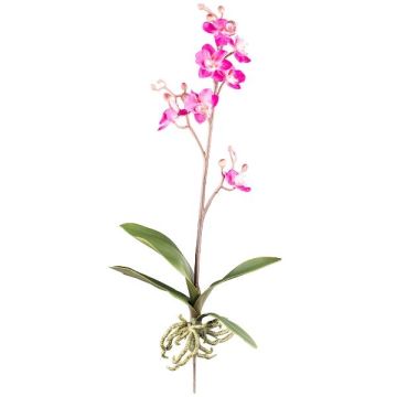 Orquídea artificial Phalaenopsis MALZA, varilla, raíces, cereza, 55 cm