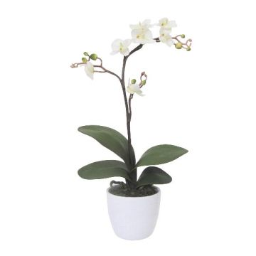 Orquídea artificial Phalaenopsis MALZA, varilla, raíces, color crema, 55 cm