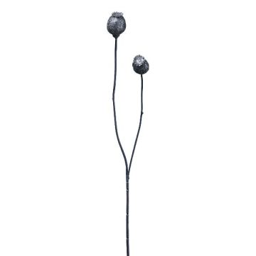 Rama decorativa de cápsulas de amapola ORIONLA, azul oscuro, 65 cm
