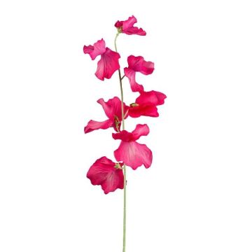 Flor artificial Lathyrus latifolius TERRAT, rosa oscuro, 50 cm
