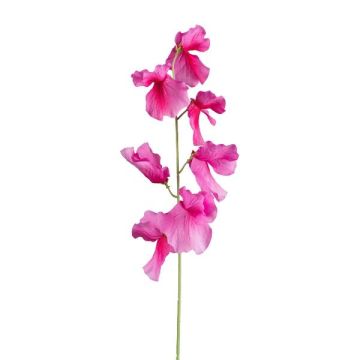 Flor artificial Lathyrus latifolius TERRAT, violeta, 50 cm