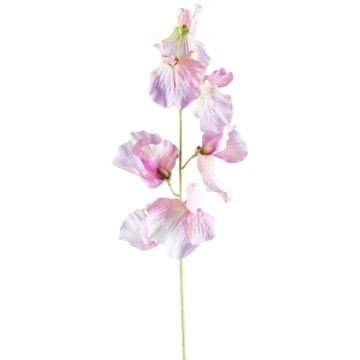 Flor artificial Lathyrus latifolius TERRAT, rosa viejo-verde, 50 cm